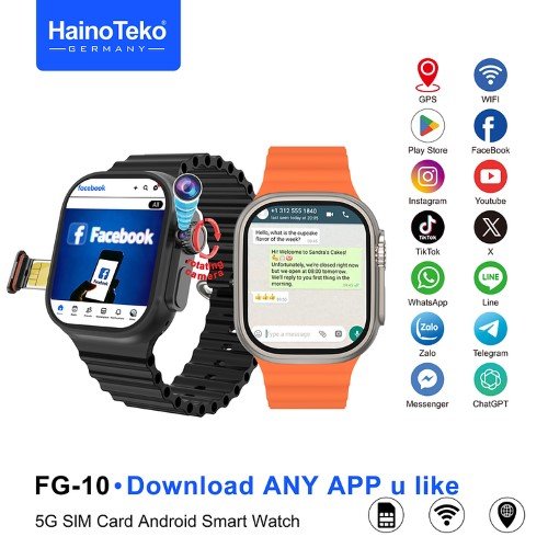 Haino Teko FG-10